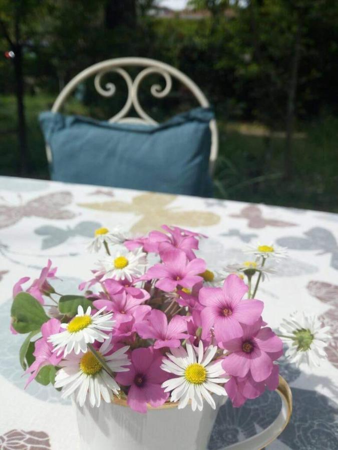 كريما B&B Delle Arti المظهر الخارجي الصورة